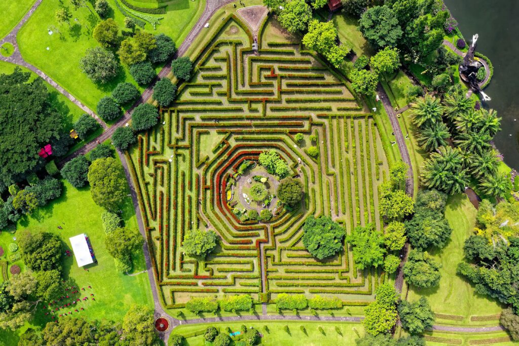 aerial shot of green garden maze 