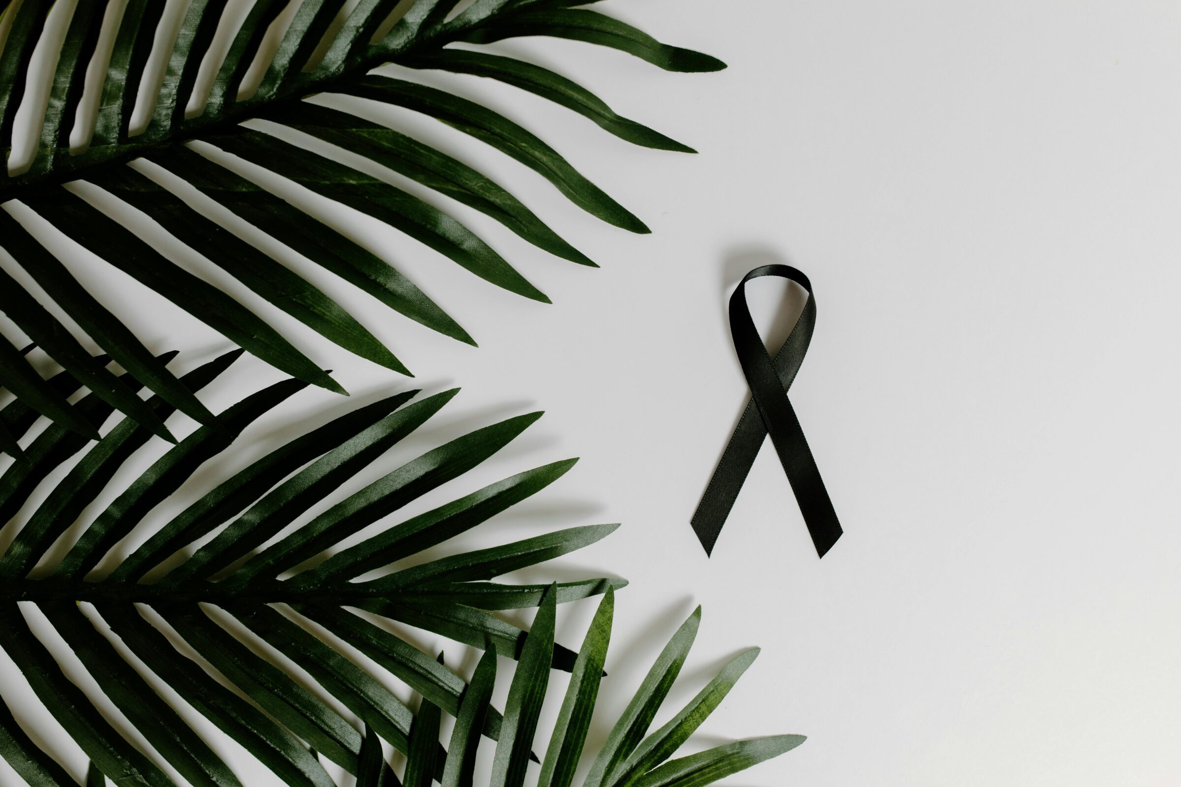 black ribbon and palm leaves