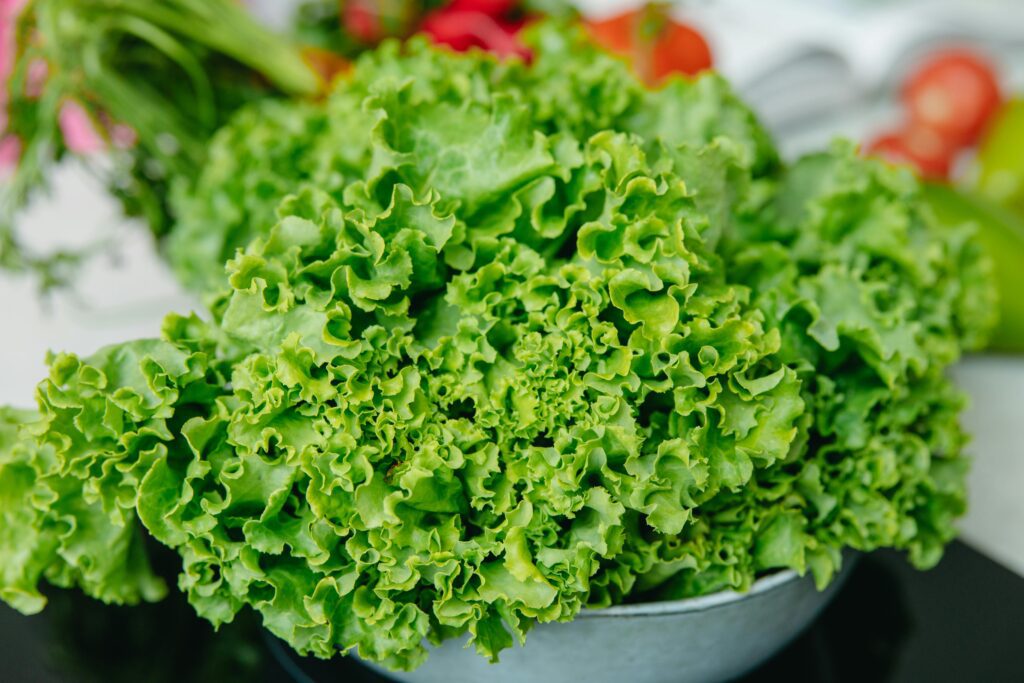 green lettuce in bowl